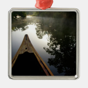 Ornement Carré Argenté États-Unis, Floride, forêt nationale d'Ocala, Al