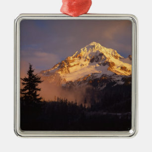 Ornement Carré Argenté États-Unis, Oregon, Forêt nationale du mont Hood.