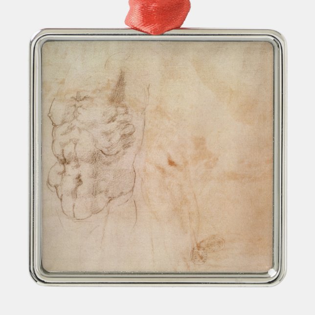 Ornement Carré Argenté Étude de torse (Devant)