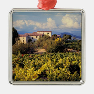Ornement Carré Argenté Europe, France, Bonnieux. Les vignobles couvrent l