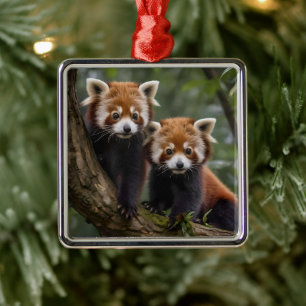 Ornement Carré Argenté "Explorateurs en haut de l'arbre : Pandas rouge bé