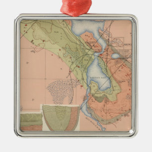 Ornement Carré Argenté Feuille détaillée XI de géologie