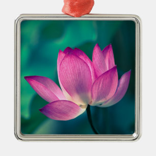 Ornement Carré Argenté Fleur de nénuphar de Lotus