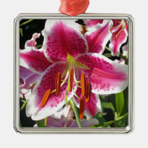 Ornement Carré Argenté Fleur rose rose rose rose fleur rose fleur tropica