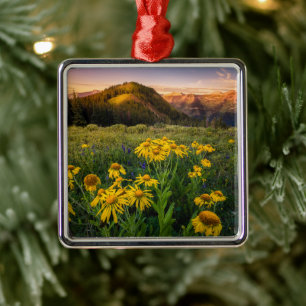 Ornement Carré Argenté Fleurs Mountain Meadow Crested Butte Colorado