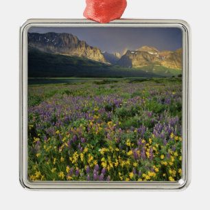 Ornement Carré Argenté Fleurs sauvages de la prairie remplissant la prair