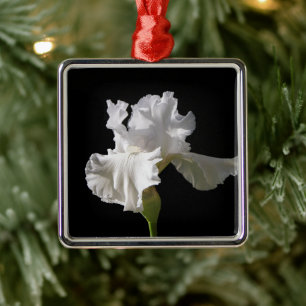 Ornement Carré Argenté Fleurs   White Iris