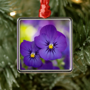 Ornement Carré Argenté Flowers (homonymie)   Purple Pansies