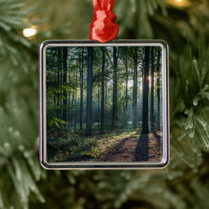 Ornement Carré Argenté Forêt   Forêt Noire Allemagne