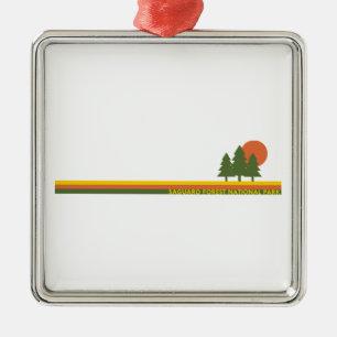Ornement Carré Argenté Forêt nationale de Saguaro Pins Soleil