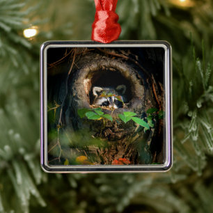 Ornement Carré Argenté Forêt Raccoon Peeking