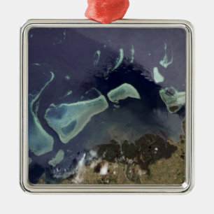 Ornement Carré Argenté Forêt verte profonde sur terre