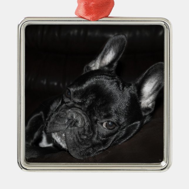 Ornement Carré Argenté Français Bulldog Ornament métal personnalisé (Devant)