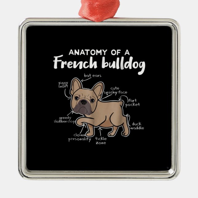 Ornement Carré Argenté Frenchie Gift| Anatomie D'Un Cadeau De Chien À Bal (Devant)