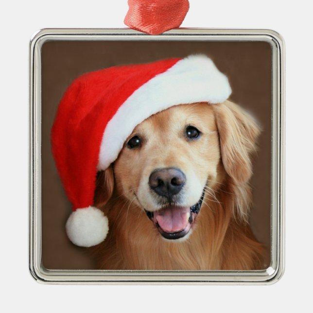 Ornement Carré Argenté Golden retriever avec le casquette de Père Noël (Devant)