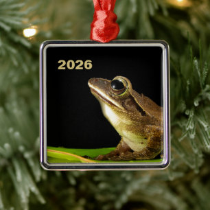 Ornement Carré Argenté Grenouille commune sur une feuille