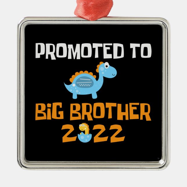Ornement Carré Argenté Hachage D'Oeufs De Dinosaure Promu À Big Brother (Devant)