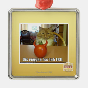 Ornement Carré Argenté Haz de veggee de DIS l'EBIL