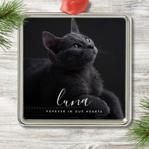 Ornement Carré Argenté Hommage à la photo Pet Sympathy