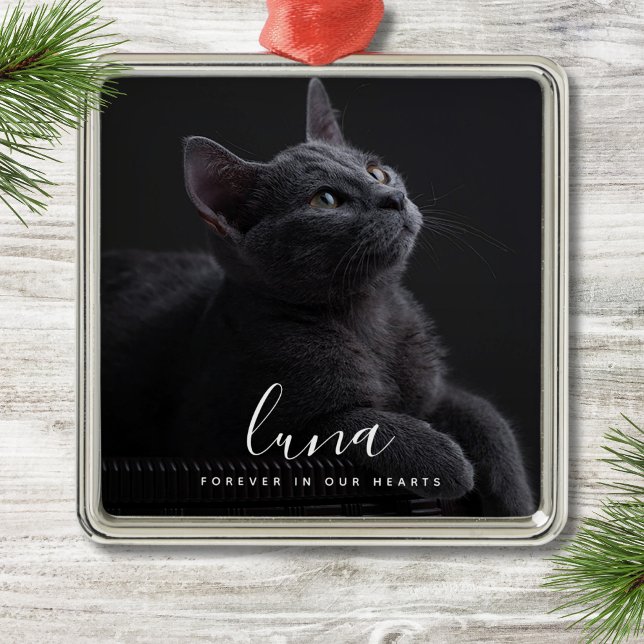 Ornement Carré Argenté Hommage à la photo Pet Sympathy (Pet Memorial Ornament)