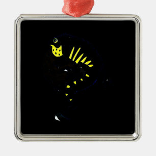 Ornement Carré Argenté Iguana