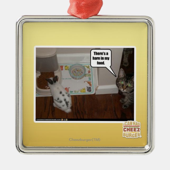 Ornement Carré Argenté Il y a des lièvres en ma nourriture (Devant)