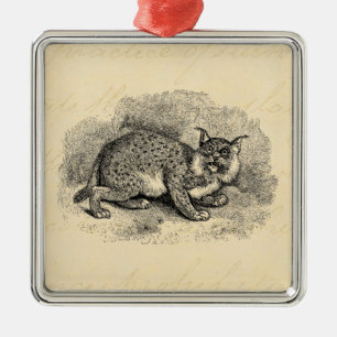 Ornement Carré Argenté Illustration vintage de Lynx de chat de Bob de