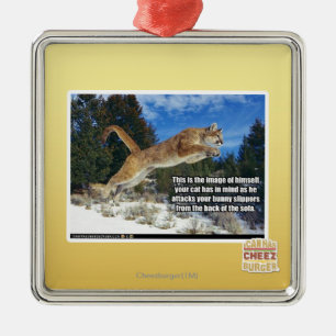 Ornement Carré Argenté Image de chat