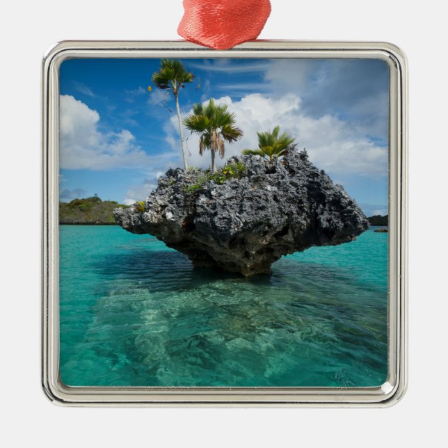 Ornement Carré Argenté Islet De Champignons Aux Fidji (Devant)