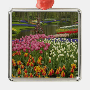 Ornement Carré Argenté Jardin de tulipes et de jacinthes, Jardins de Keuk