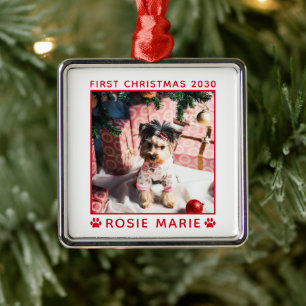 Ornement Carré Argenté Joli Premier Noël Chien Photo Nom Année Personnali