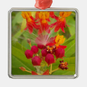 Ornement Carré Argenté Jolie florale colorée avec Milkweed Art Imprimer