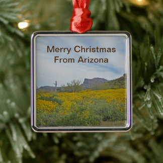 Ornement Carré Argenté Joyeux Noël Désert Fleur Sauvage Arizona Vacances