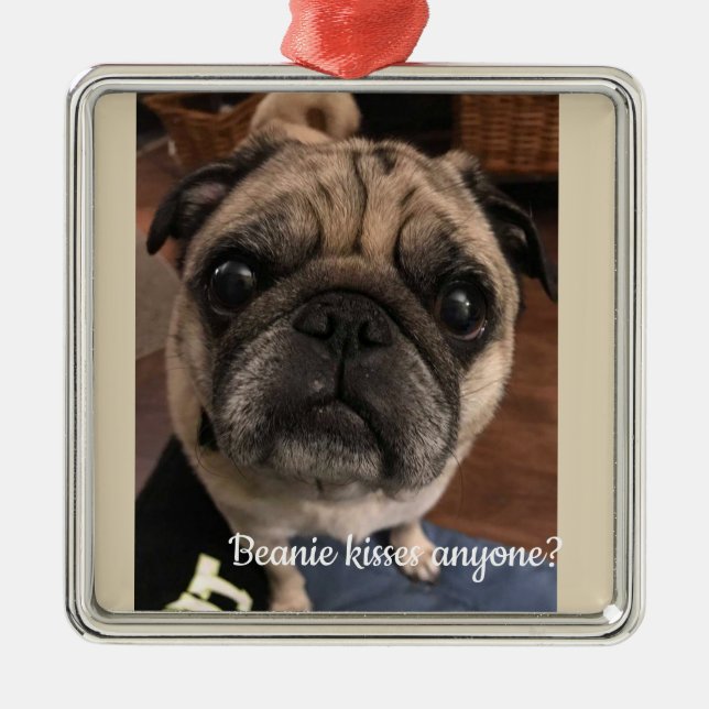 Ornement Carré Argenté Kissea n'importe qui de calotte ? (Devant)