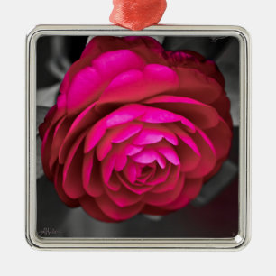 Ornement Carré Argenté La Camélia rose 