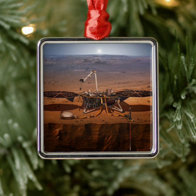 Ornement Carré Argenté La Lander de l'Insight (Arbre)