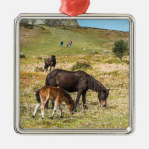 Ornement Carré Argenté La roche de Pony Haytor dans le parc national Devo