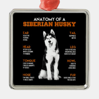 Ornement Carré Argenté L'anatomie d'un Husky Sibérien L'art drôle
