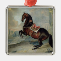 Le cheval de baie foncé 'Valido