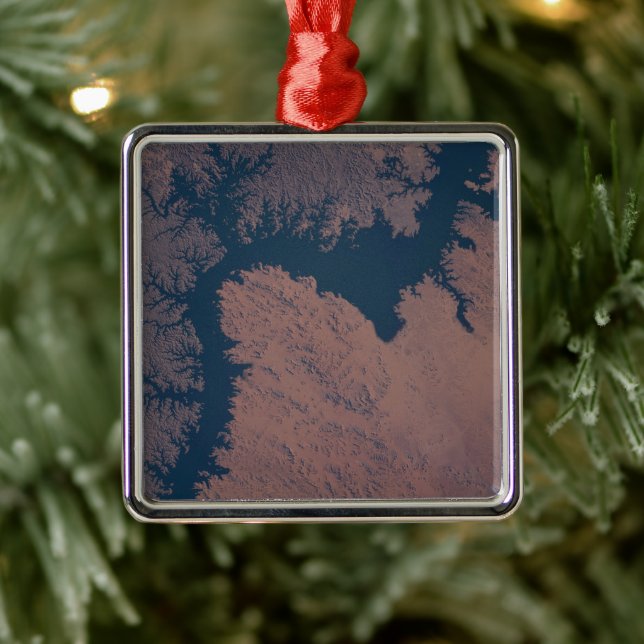 Ornement Carré Argenté Le lac Nasser (Arbre)