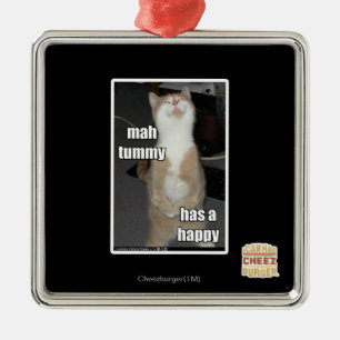 Ornement Carré Argenté Le ventre d'heure-milliampère a un heureux