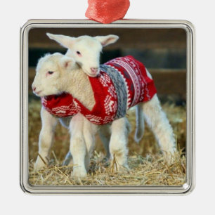ORNEMENT CARRÉ ARGENTÉ *LES CHÈVRES DE NOËL ADORABLES DANS LES PÂTES*