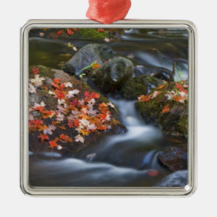 Ornement Carré Argenté Les feuilles d'érable rouge tapissent les rochers 