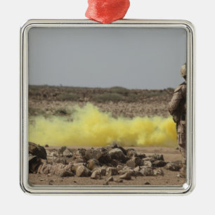 Ornement Carré Argenté Les marines fournissent la sécurité