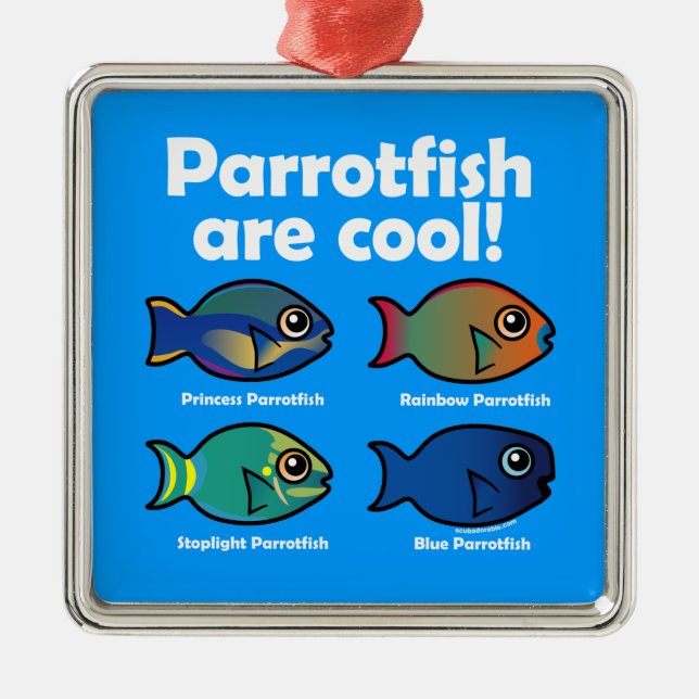 Ornement Carré Argenté Les poissons perroquets sont Cool ! (Devant)