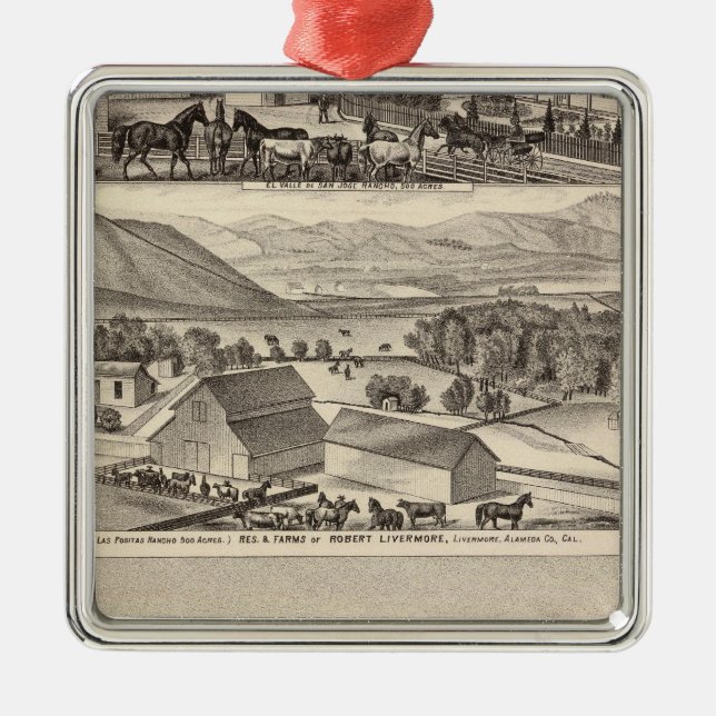 Ornement Carré Argenté Livermore, résidences de Bardellini, fermes, hôtel (Devant)