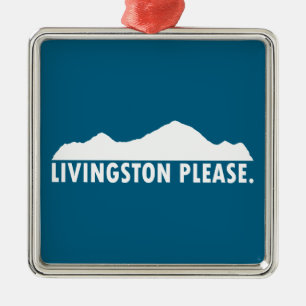 Ornement Carré Argenté Livingston Montana S'il vous plaît
