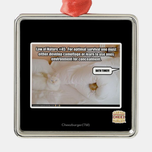 Ornement Carré Argenté Loi de la nature #45 (Devant)