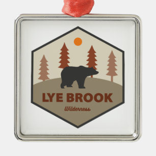 Ornement Carré Argenté Lye Brook Wilderness Vermont Ours