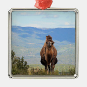 Ornement Carré Argenté Marcher avec l'ornement en céramique Muffin